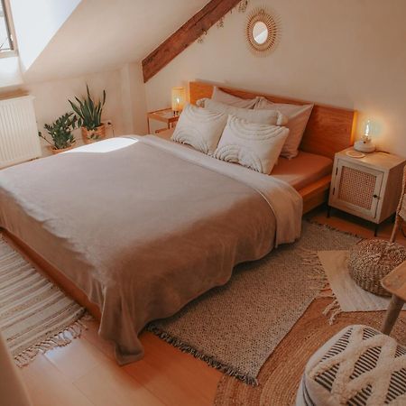 Cozy Apartment In The Heart Of The Historic City Bratislava Dış mekan fotoğraf