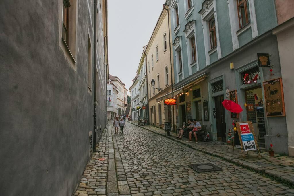 Cozy Apartment In The Heart Of The Historic City Bratislava Dış mekan fotoğraf